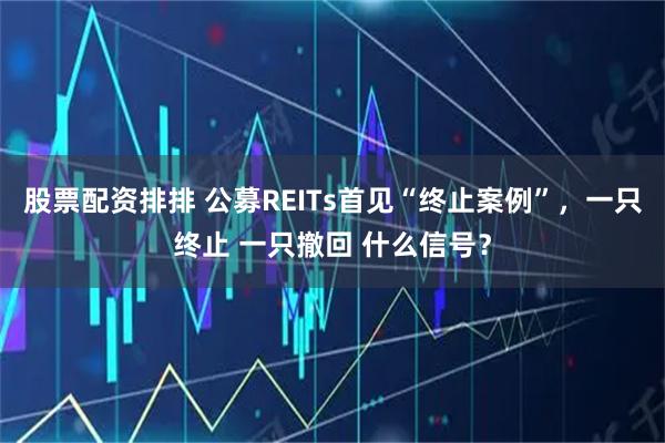股票配资排排 公募REITs首见“终止案例”，一只终止 一只撤回 什么信号？