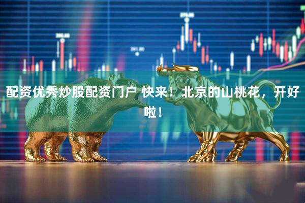 配资优秀炒股配资门户 快来！北京的山桃花，开好啦！